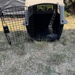 Medium Pet Carrier 