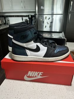Jordan 1 All Star Chameleon Size 10.5