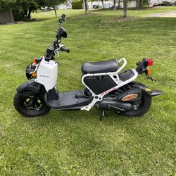 Honda ruckus