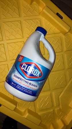 Clorox bleach