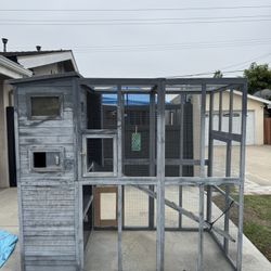 Catio For Cats
