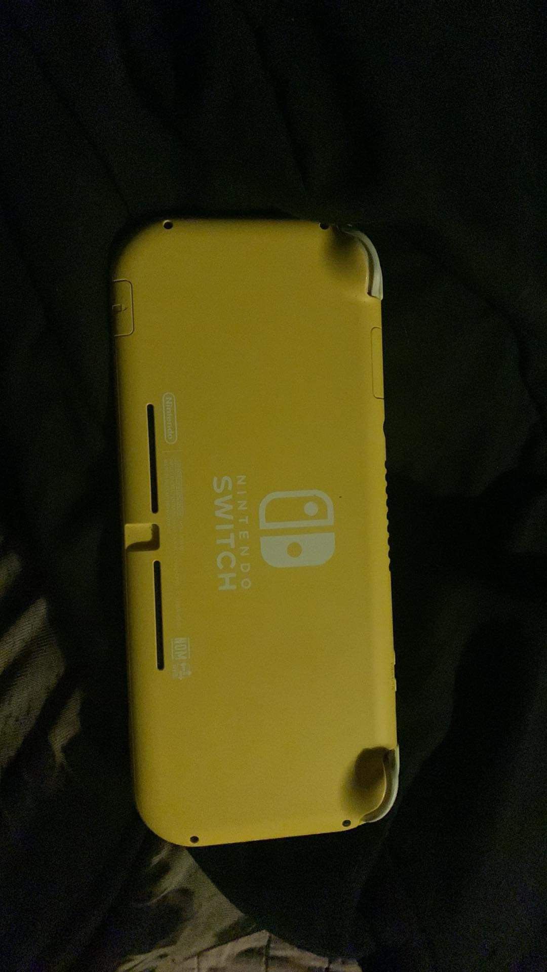Switch lite 