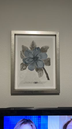 Picture with nice frame