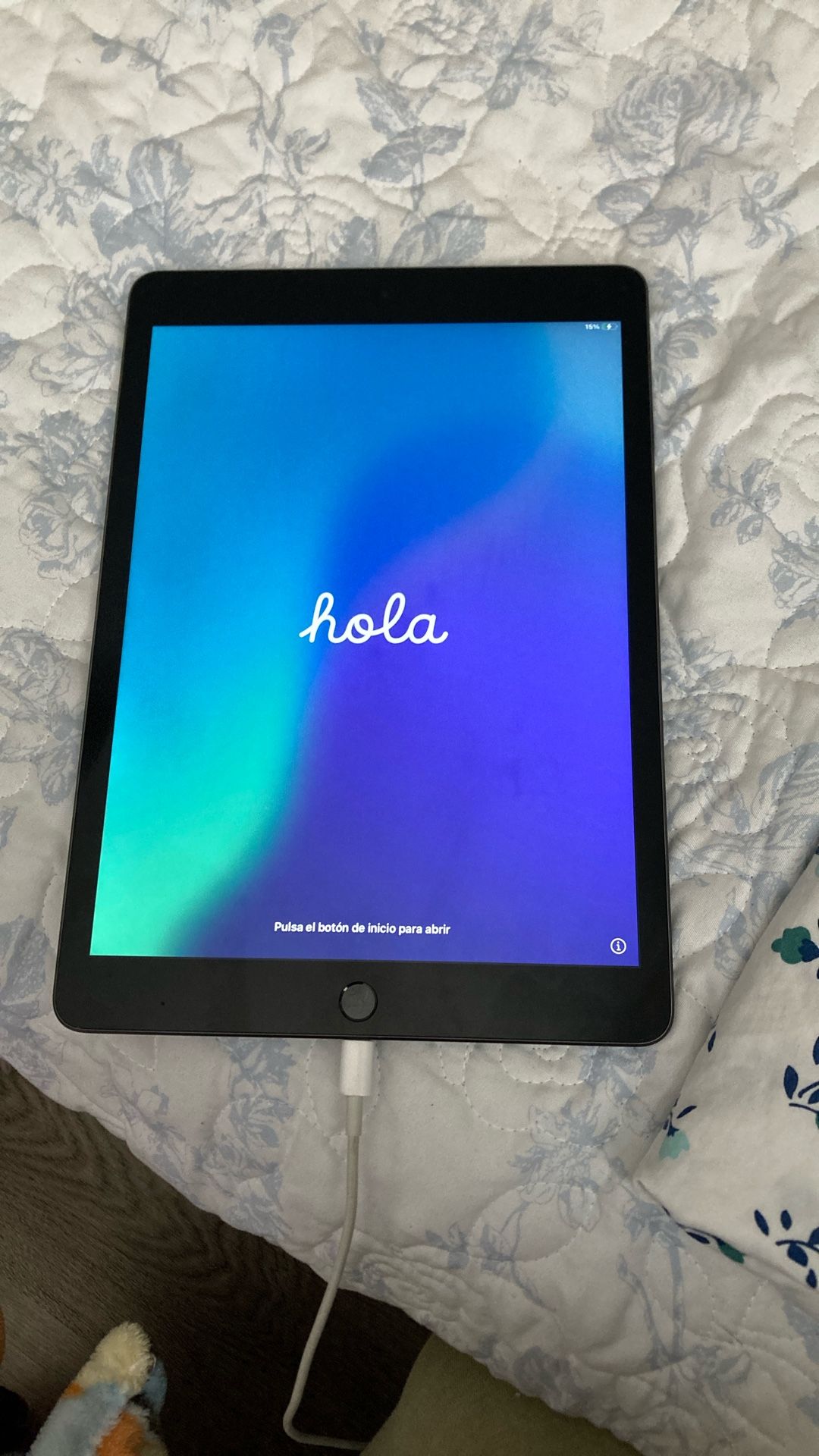 iPad (9th Generation) 