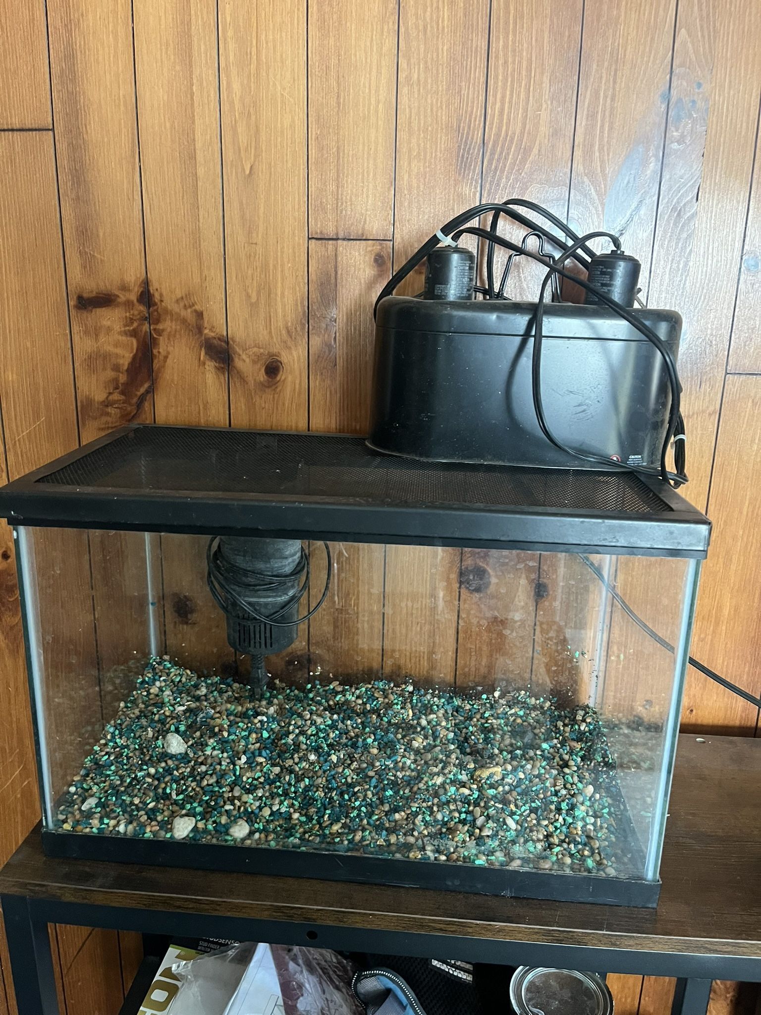 Turtle 10g Fish Tank Aquarium Pecera 