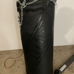 Century Punching Bag 100lbs