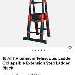 Long ladder