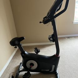 Schwinn 170 Upright Bike 