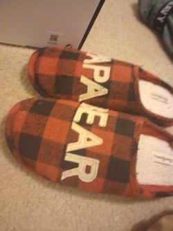 Papa Bear Slides