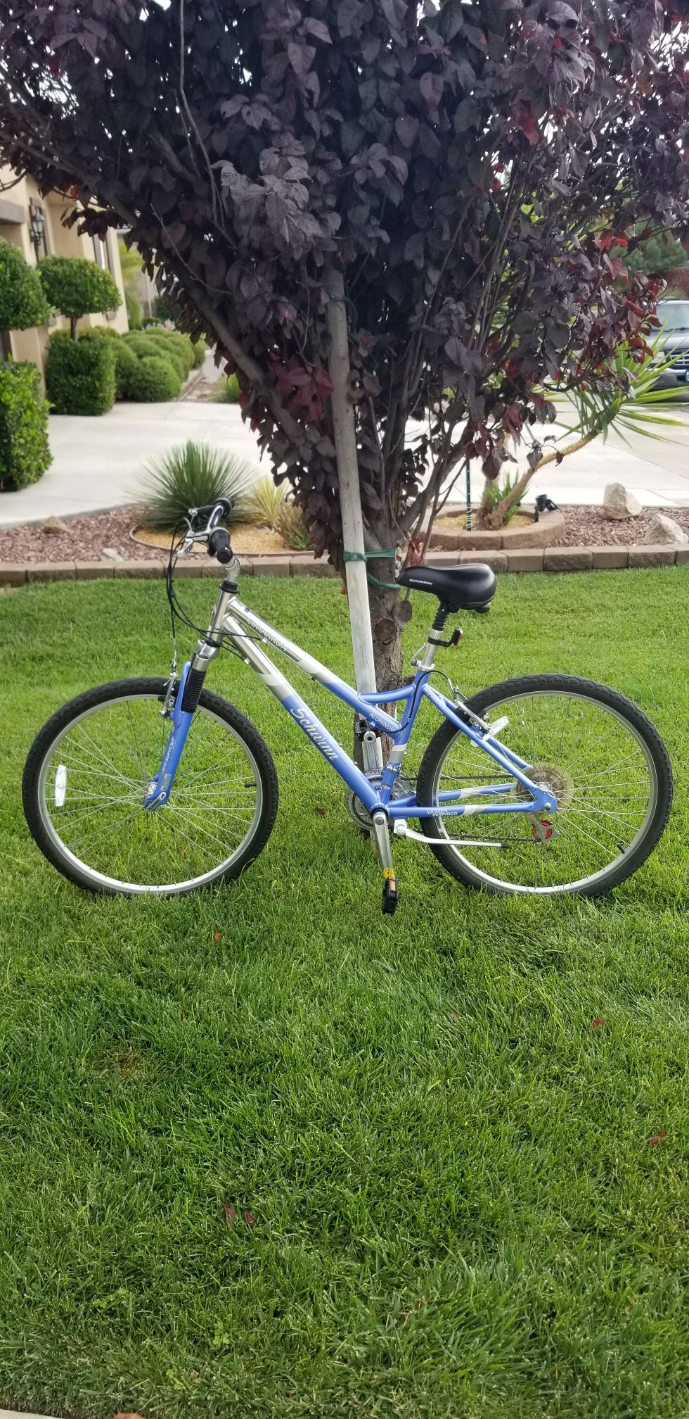 WOMEN'S SCHWINN "CIMARRON" COMFORT MOUNTAIN BIKE (26IN) 55 OBO for