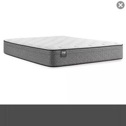 Sealy Queen Mattress  and Box Spring