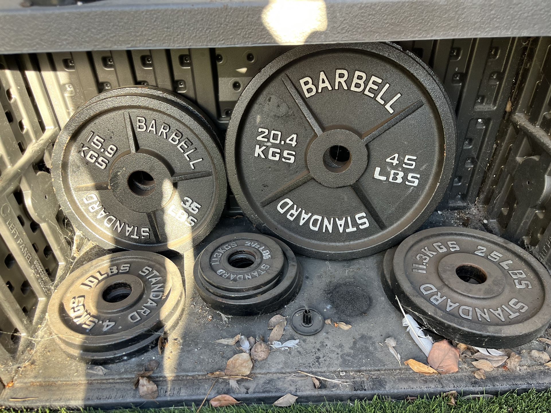 GYM BUNDLE - DUMBBELLS, SQUAT RACK, PULL UP, BOX JUMP, MORE