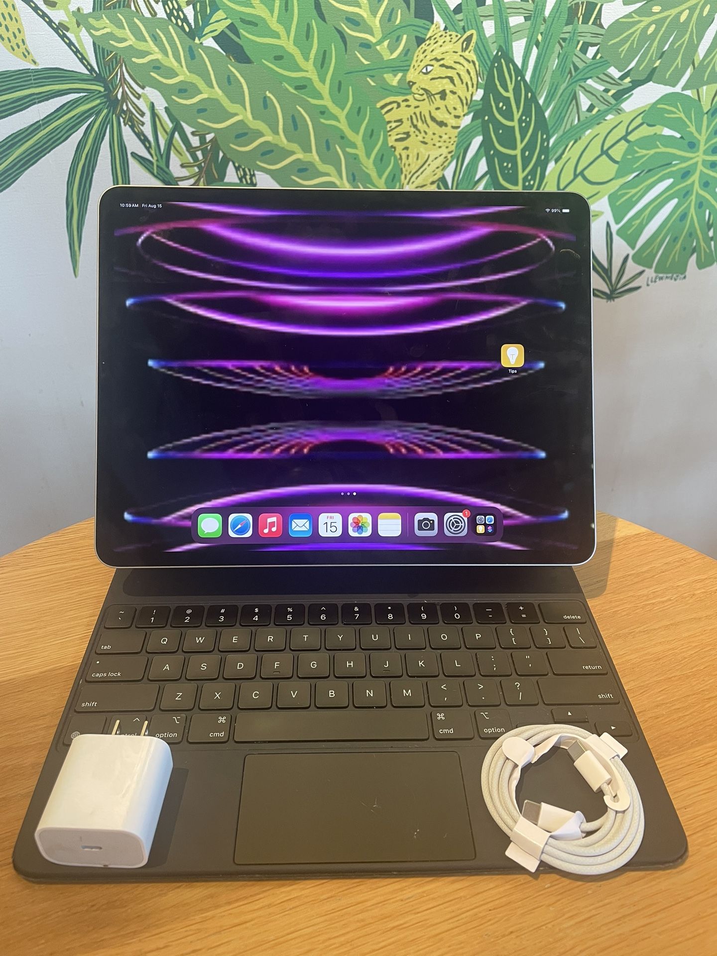 Unlocked iPad Pro 12.9’ M2 Chip 6th Gen ( 2022) Wi-Fi 1TB- Space Gray - No Keyboard Included