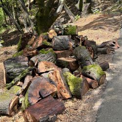 free oak firewood 