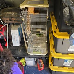 Bird Cage