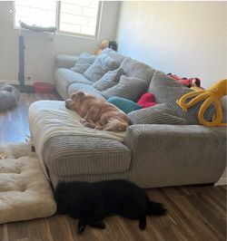 FREE SECTIONAL!!!