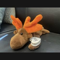 Chocolate Moose Beanie Baby 