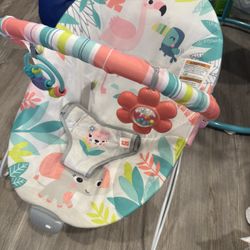Baby Bouncer Bright Start