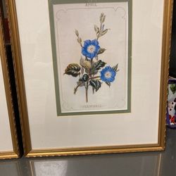 Flower Wall Frame 13/17 inches  Gold Frame 