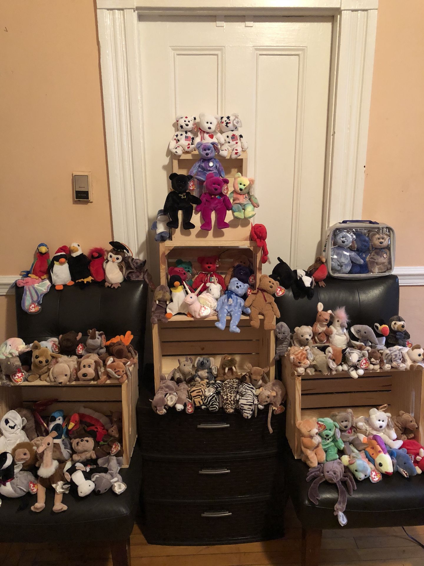 BEANIE BABIES (DIFFERENT SIZES AND YEARS)