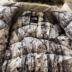 The North Face Jacket 