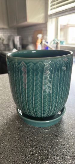 Pot