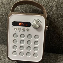 Portable Bluetooth Fm, Radio Speaker
