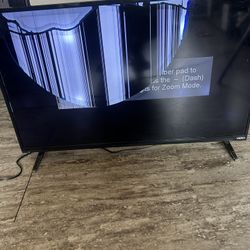 Vizio 40 Inch Smart Tv (Damaged Screen)