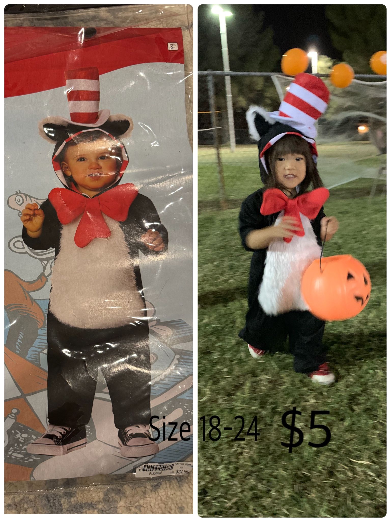 Halloween Costumes  Dr. Seuss