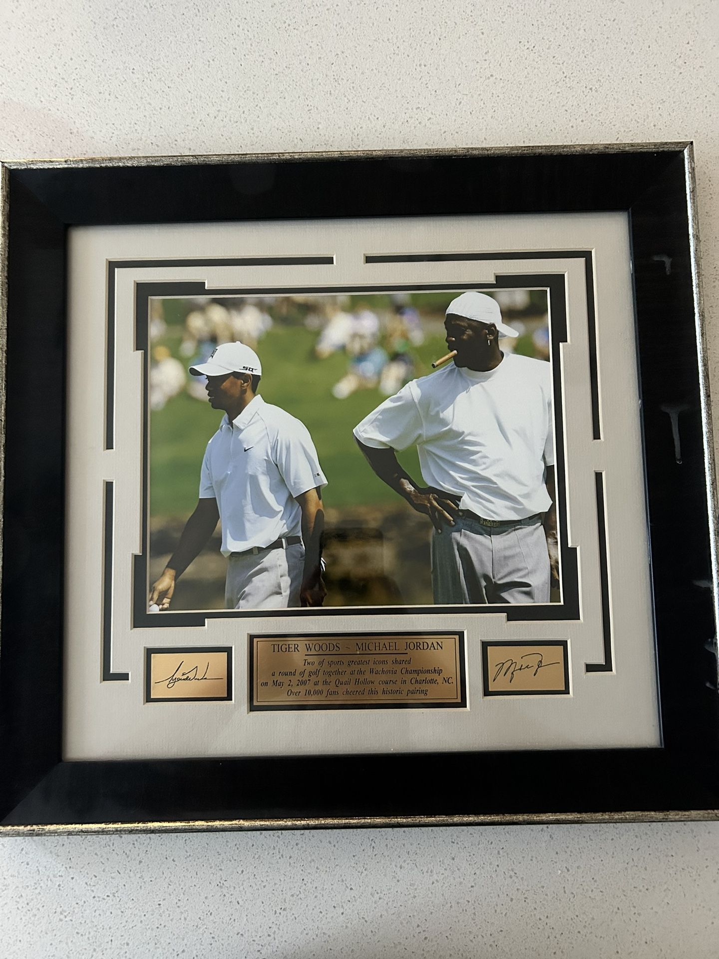 Michael Jordan/Tiger Woods Plaque