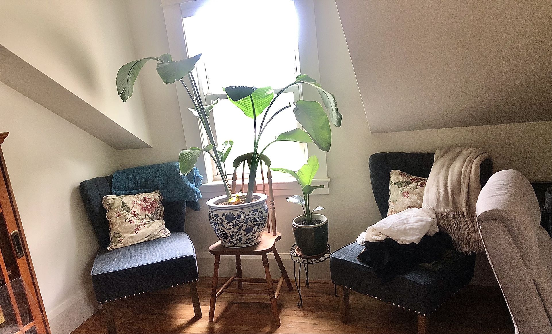 Blue Upholstered Chairs