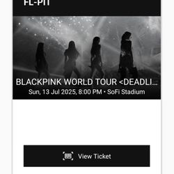 Blackpink Concert 