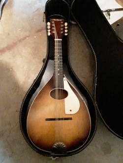 Mandolin and hard case $250