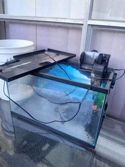 10 Gallon