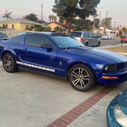 05 Mustang 