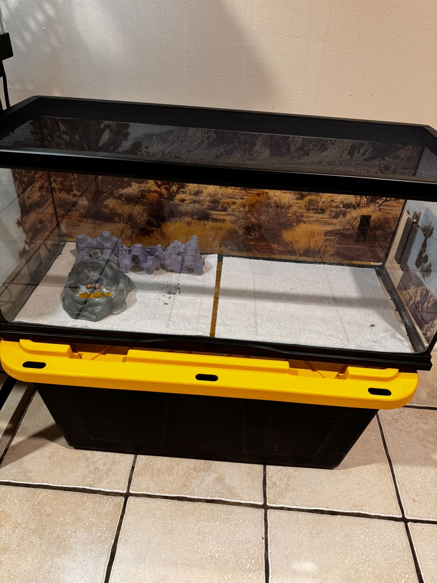 Reptile Tanks