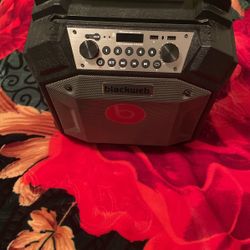 Blackweb 2 Way Powered Speaker