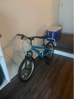 Blue Mongus bike