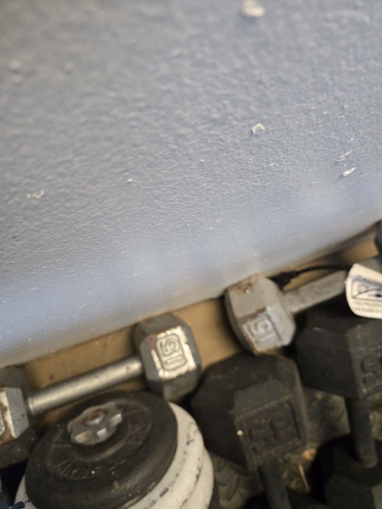 Dumbbell 15x2=30.   30$ Firm 