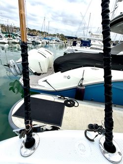 Custom Gaff and Net
