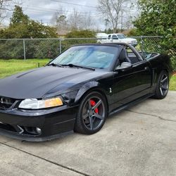 1999 Ford Mustang SVT Cobra