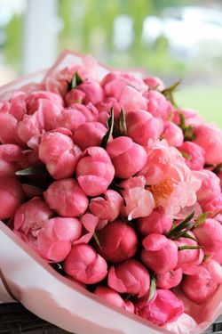 Peonies bouquet