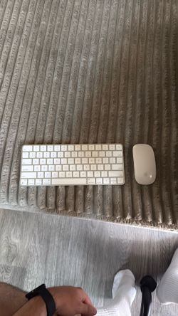 Apple Mouse and Apple Keyboard