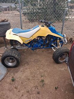 Suzuki  250 Quad