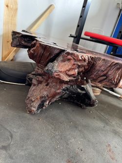 Petrified Wood Live Edge Coffee Table