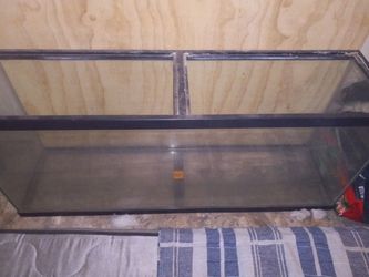 75 Gallon Aquarium