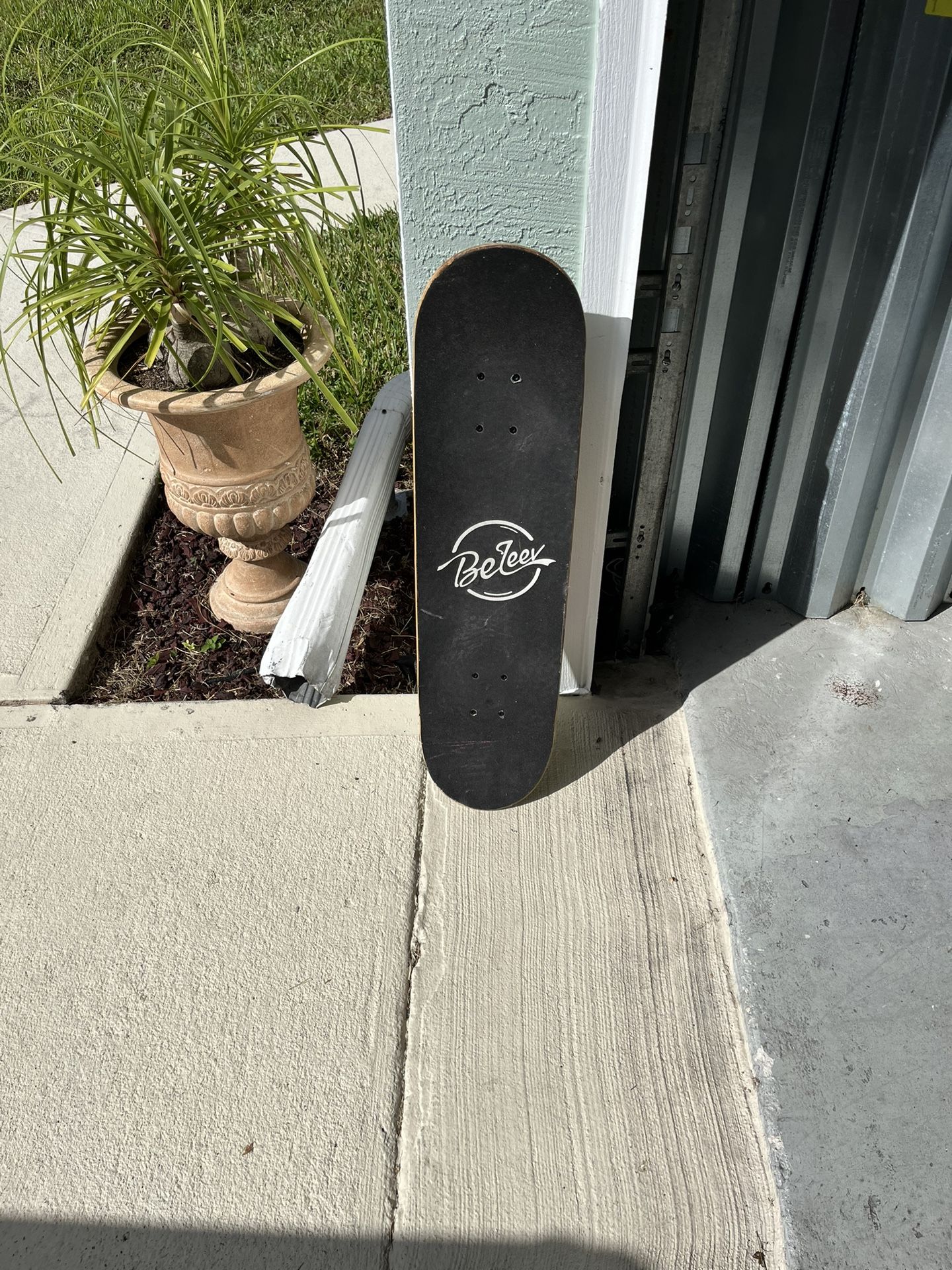 Skate Board