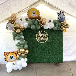 Balloons And Backdrops