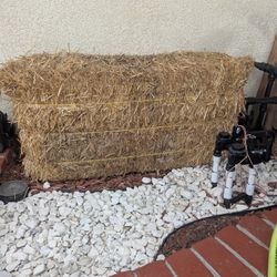 2.  Straw Hay $10 Each 