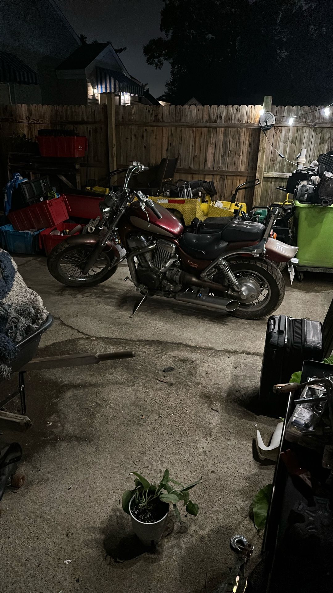 Suzuki intruder